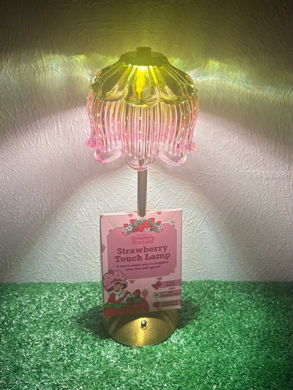 Strawberry Shortcake  Touch Lamp USB Rechargeable 3 Dimmable Settings